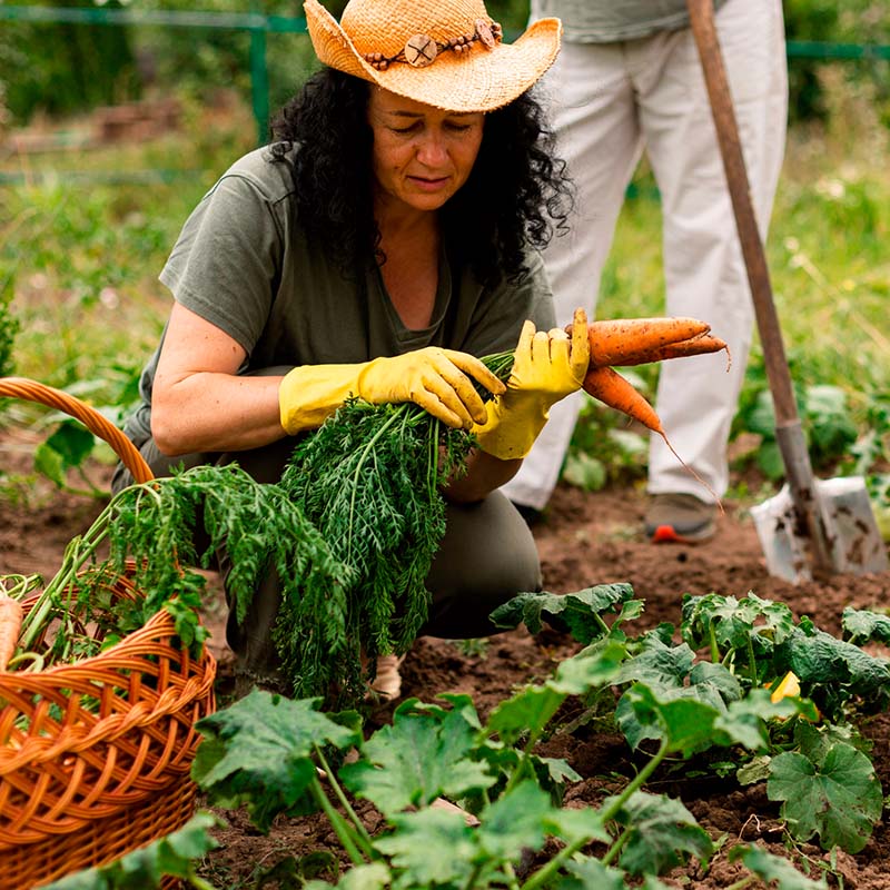 Información, formación y concienciación sobre alimentación sostenible
