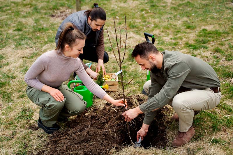 Campañas de educación ambiental