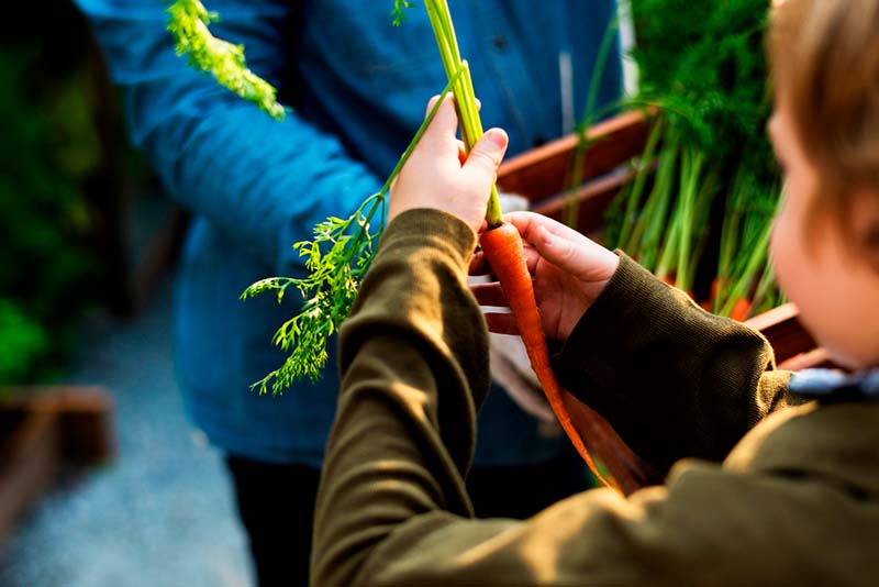 Talleres al aire libre sobre biodiversidad y agricultura sostenible