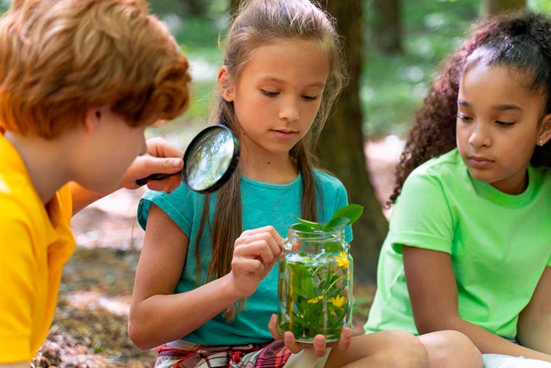 Apoyo a instituciones educativas para la educación ambiental