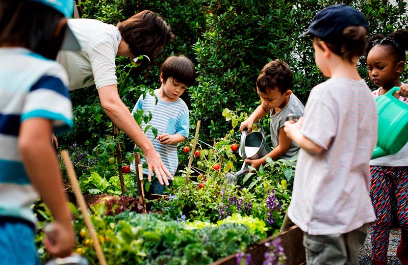 Educación ambiental en zonas verdes