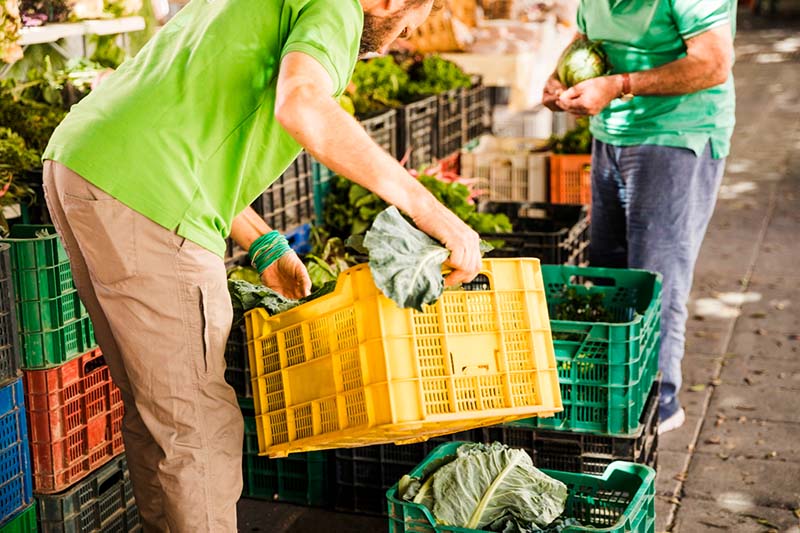Promoción de productos agroecológicos