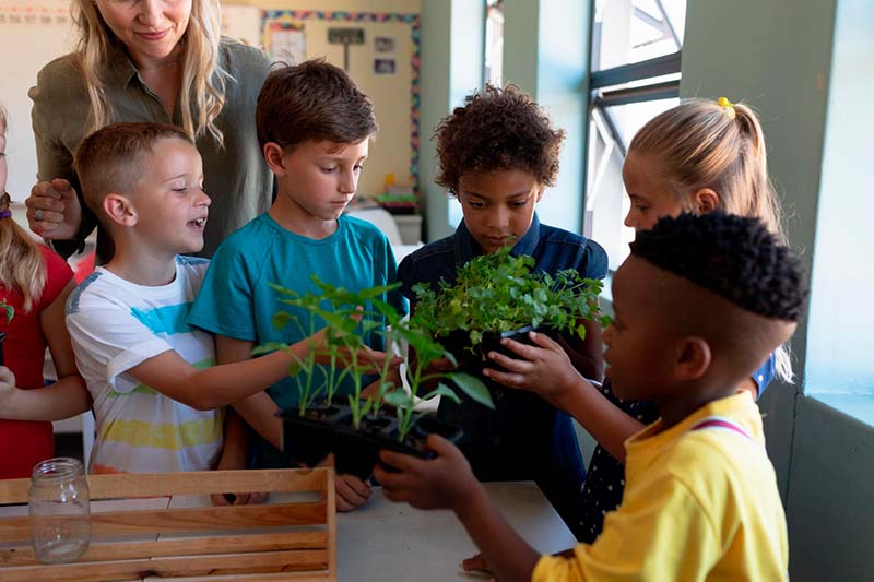 Educación Ambiental Ciudadana